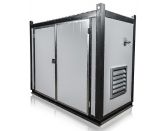 Дизельный генератор Rensol RW50HO в контейнере с АВР